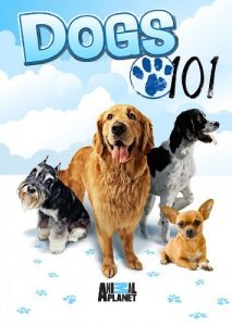 Dogs.101.S02.1080p.WEB-DL.AAC2.0.x264-BOOP – 12.5 GB