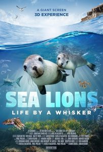 Sea.Lions.Life.By.A.Whisker.2020.1080p.WEB.H264-CBFM – 2.7 GB