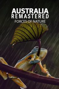 Australia.Remastered.S05.Natures.Great.Divide.1080p.iV.WEB-DL.AAC2.0.H.264-HiNGS – 4.6 GB