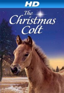 The.Christmas.Colt.2013.1080p.WEB.H264-RABiDS – 5.9 GB