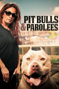 Pit.Bulls.And.Parolees.S04.1080p.WEB.DL.H264-BTN – 32.2 GB