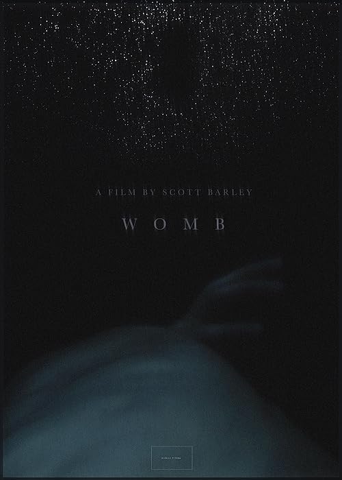 Womb.2017.1080p.BluRay.x264-BiPOLAR – 246.2 MB