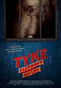 Tyke.Elephant.Outlaw.2015.1080p.NF.WEB-DL.DDP2.0.x264-Kd7 – 3.7 GB
