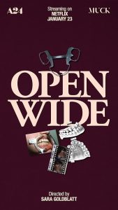 Open.Wide.2024.1080p.NF.WEB-DL.DDP5.1.H.264-WELP – 4.2 GB