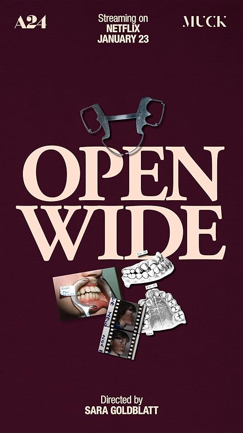 Open.Wide.2024.720p.NF.WEB-DL.DDP5.1.H.264-WELP – 1.4 GB