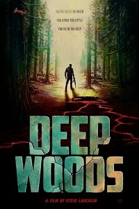 Deep.Woods.2022.1080p.WEB-DL.AAC2.0.H.264-Cy – 2.6 GB
