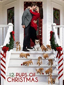 12.Pups.Of.Christmas.2019.1080p.WEB.H264-CBFM – 6.1 GB
