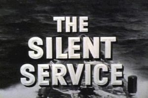 The.Silent.Service.S01.1080p.AMZN.WEB-DL.DDP.5.1.H.264-CHDWEB – 23.4 GB