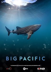 Big.Pacific.2017.S01.UHD.BluRay.SDR.2160p.x265.10bit.mUHD-FRDS – 43.2 GB