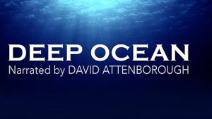 Deep.Ocean.S01.720p.WEB-DL.AAC2.0.H.264-BTN – 4.5 GB