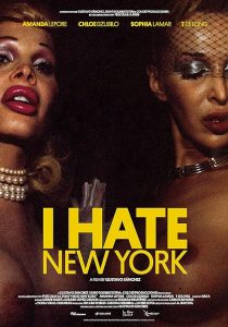 I.Hate.New.York.2018.1080p.AMZN.WEB-DL.DDP2.0.H.264-GINO – 4.7 GB