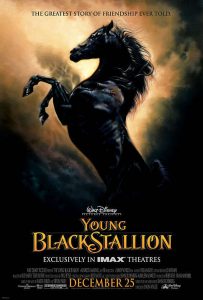 The.Young.Black.Stallion.2003.720p.WEB.H264-DiMEPiECE – 1.6 GB