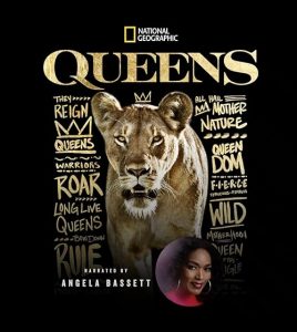 Queens.2024.S01.1080p.DSNP.WEB-DL.AAC2.0.H.264-LAZY – 16.9 GB