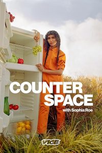 Counter.Space.S02.720p.SBS.WEB-DL.AAC.2.0.H.264-BTN – 3.9 GB