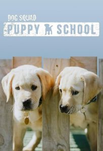 Dog.Squad.Puppy.School.S03.720p.TVNZ.WEB-DL.AAC2.0.H.264 – 4.0 GB