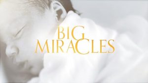 Big.Miracles.S02.720p.WEB-DL.AAC2.0.H.264-WH – 4.1 GB