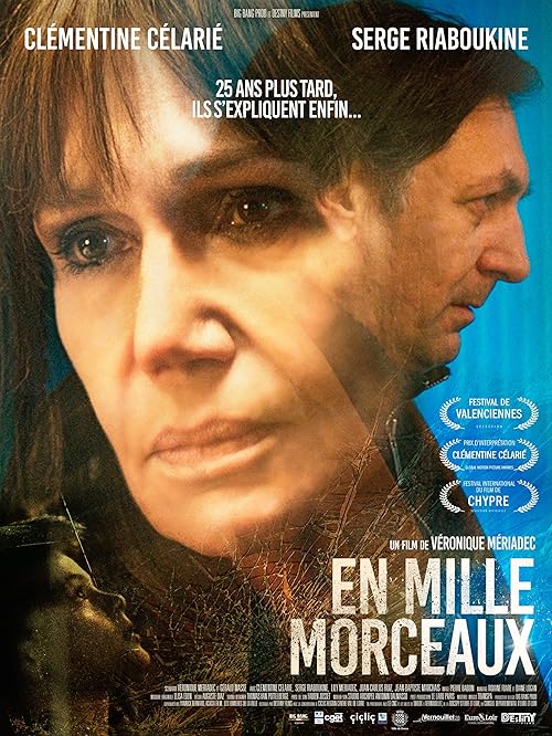 En.Mille.Morceaux.2018.FRENCH.1080p.WEB.H264-Silky – 5.1 GB