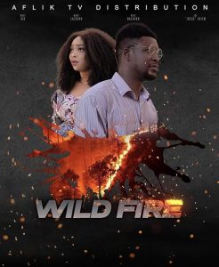 Wild.Fire.2018.1080p.WEB.H264-RABiDS – 5.0 GB