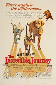 The.Incredible.Journey.1963.720p.WEB.H264-DiMEPiECE – 2.5 GB