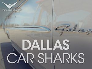 Dallas.Car.Sharks.S02.1080p.WEB-DL.AAC2.0.H.264-BTN – 10.0 GB
