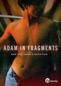 Adam.in.Fragments.S01.1080p.AMZN.WEB-DL.DDP2.0.H.264-SotB – 6.9 GB