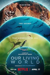 Our.Living.World.S01.1080p.NF.WEB-DL.DDP5.1.Atmos.H.264-FLUX – 9.9 GB