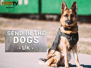 Send.In.The.Dogs.UK.S02.720p.TUBI.WEB-DL.AAC2.0.H.264-TENDAVID – 6.9 GB