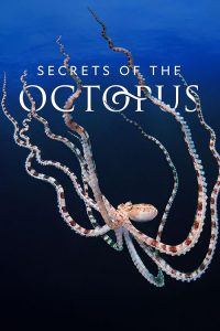 Secrets.of.the.Octopus.S01.2160p.DSNP.WEB-DL.DDP5.1.DoVi.HEVC-NTb – 14.4 GB