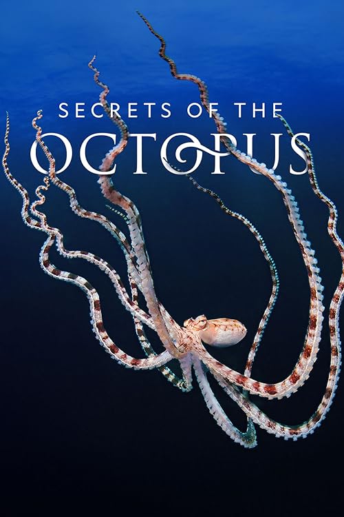 Secrets.of.the.Octopus.S01.2160p.DSNP.WEB-DL.DDP5.1.DoVi.HEVC-NTb – 14.4 GB