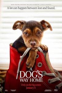 A.Dogs.Way.Home.2019.HDR.2160p.WEB.H265-SLOT – 16.3 GB