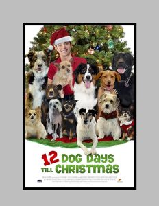 12.Dog.Days.Till.Christmas.2014.1080p.AMZN.WEB-DL.DDP5.1.H.264-Muffin – 7.1 GB