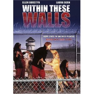 Within.These.Walls.2001.1080p.AMZN.WEB-DL.DDP2.0.H.264-FLUX – 6.3 GB