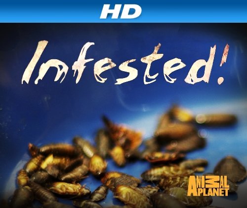 Infested!