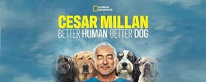 Cesar.Millan.Better.Human.Better.Dog.S04.1080p.HULU.WEB-DL.DD+5.1.H.264-playWEB – 20.7 GB