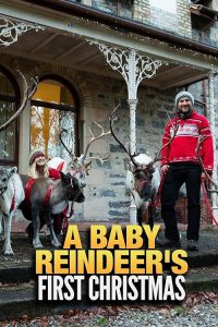 A.Baby.Reindeers.First.Christmas.2020.1080p.WEB.H264-CBFM – 3.4 GB
