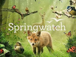 Springwatch.2023.S01.1080p.iP.WEB-DL.AAC2.0.H.264-AEK – 43.5 GB