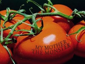 My.Mother.The.Monster.2019.1080p.WEB.H264-CBFM – 1.9 GB