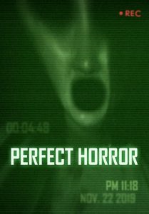 Perfect.Horror.2016.SUBBED.1080p.WEB.H264-AMORT – 1.7 GB
