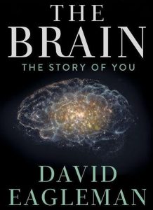 The.Brain.with.David.Eagleman.S01.1080p.AMZN.WEB-DL.DD+2.0.H.264-NTb – 23.0 GB