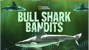 Bull.Shark.Bandits.2023.1080p.WEB.h264-EDITH – 2.6 GB