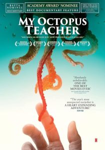 My.Octopus.Teacher.2020.720p.NF.WEB-DL.DDP5.1.x264-ExREN – 3.0 GB