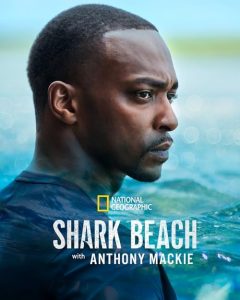 Shark.Beach.with.Anthony.Mackie.Gulf.Coast.2024.2160p.DSNP.WEB-DL.DDP5.1.HDR.H.265-MADSKY – 4.7 GB