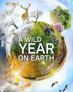 A.Wild.Year.On.Earth.S01.2160p.AMZN.WEB-DL.DDP2.0.HEVC-NTb – 31.8 GB