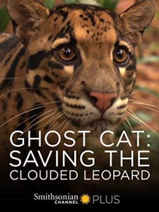 Ghost.Cat.Saving.The.Clouded.Leopard.2007.1080p.WEB.H264-CBFM – 2.1 GB