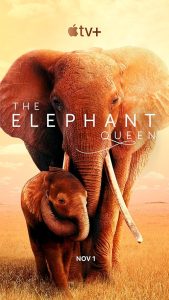 the.elephant.queen.2019.2160p.web.h265-nixon – 14.1 GB