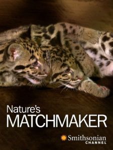 Natures.Matchmaker.2011.1080p.WEB.H264-CBFM – 2.2 GB