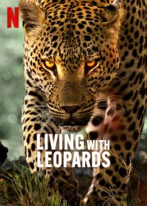 Living.with.Leopards.2024.2160p.NF.WEB-DL.DDP5.1.Atmos.DV.H.265-FLUX – 9.4 GB