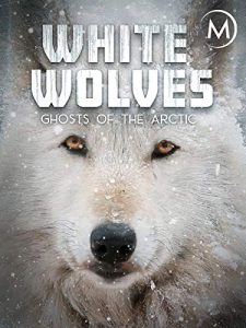 white.wolves.ghosts.of.the.arctic.2017.2160p.web.h265-bigdoc – 5.6 GB