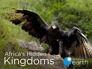 Africas.Hidden.Kingdoms.S01.2160p.AMZN.WEB-DL.DDP2.0.HEVC-NTb – 29.3 GB