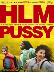 HLM.Pussy.2024.FRENCH.1080p.WEB-DL.H264-Slay3R – 4.9 GB